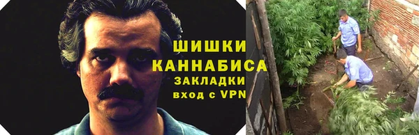 mdpv Пестово