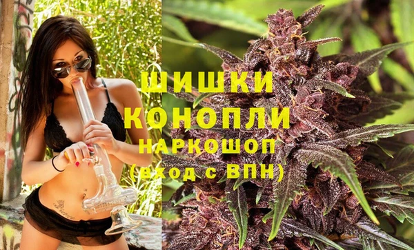 хмурый Ветлуга